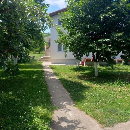 Apartman Flora Врдник Экстерьер фото