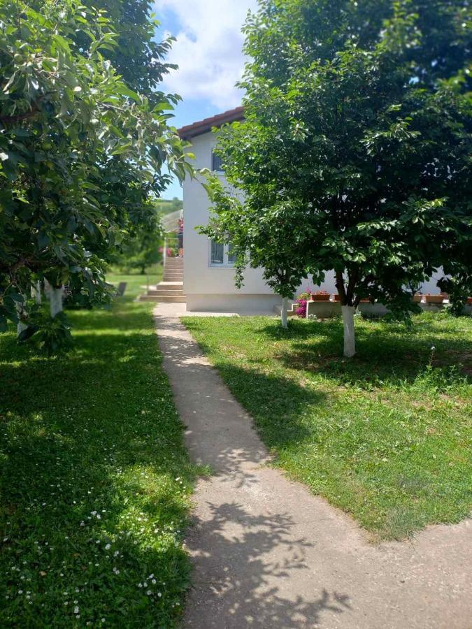 Apartman Flora Врдник Экстерьер фото