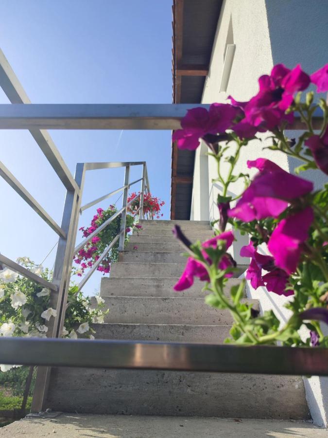 Apartman Flora Врдник Экстерьер фото