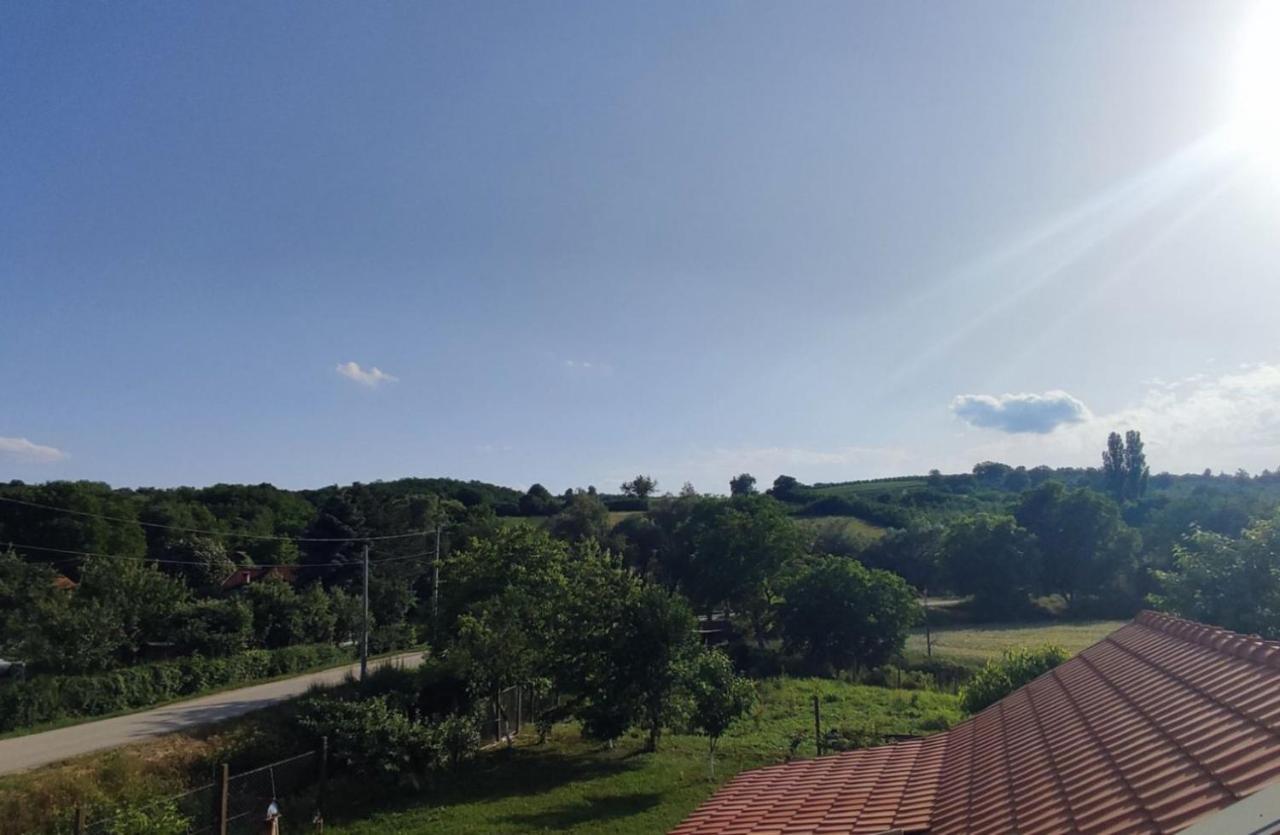 Apartman Flora Врдник Экстерьер фото