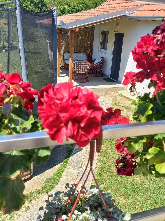 Apartman Flora Врдник Экстерьер фото